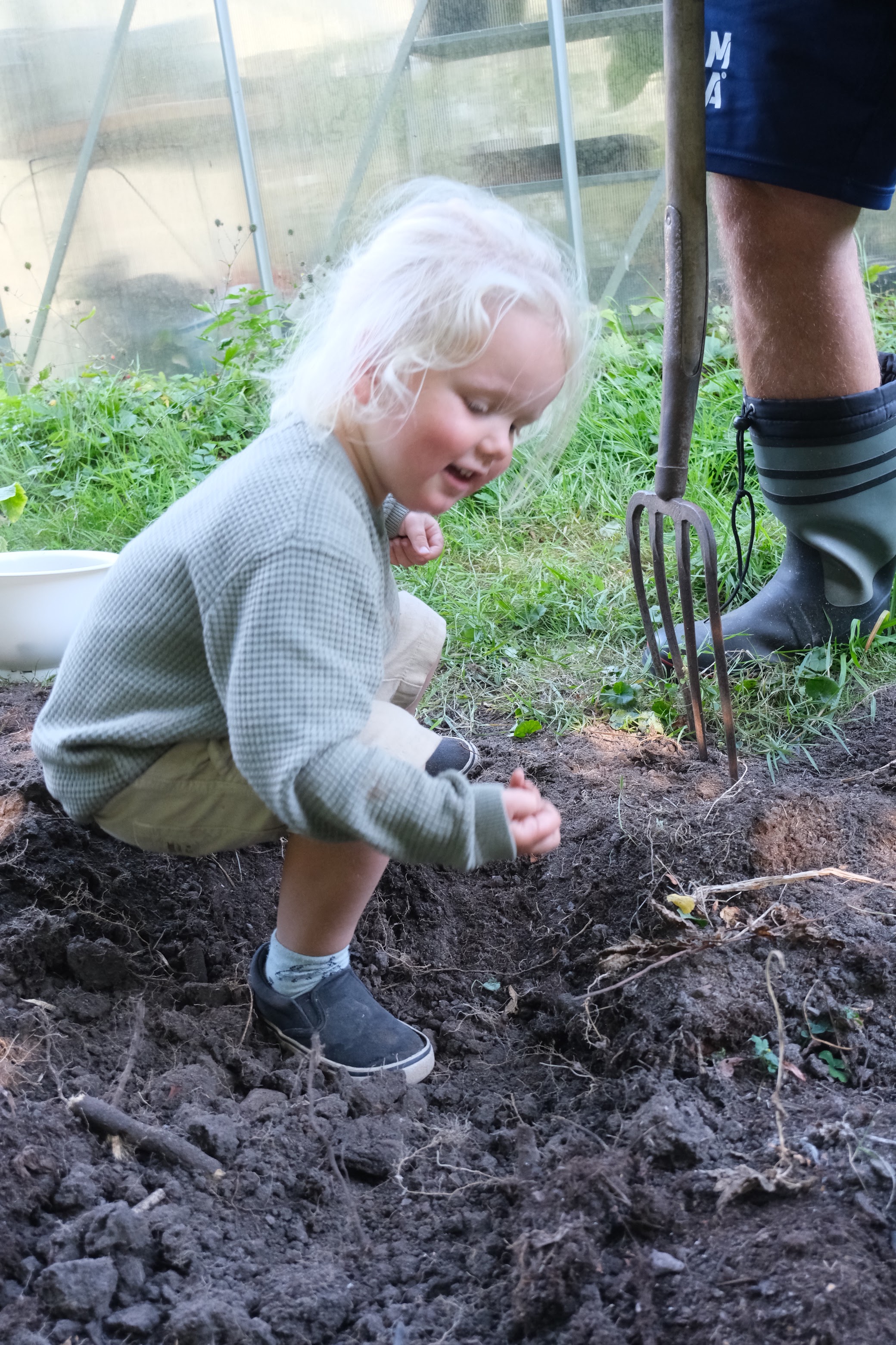 A young child exploring the soil in the greenhouse